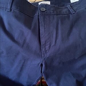 LOFT Navy Ankle Pants